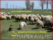<<->> APASA pentru FOTO la dimensiunea mare <<->> <<->> 2007.04.14 Farul-RAPID (100)